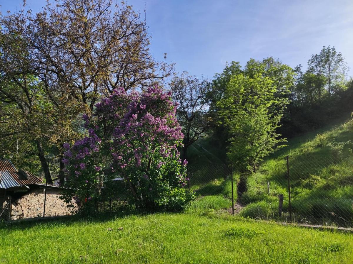 Comme Chez Vous Vila Bayons Exterior foto